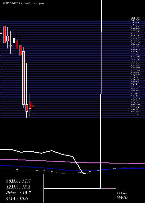 monthly chart KgDenim