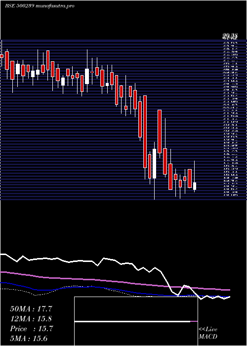 weekly chart KgDenim