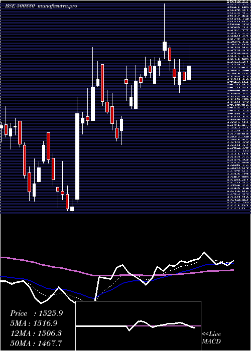  Daily chart Raymond