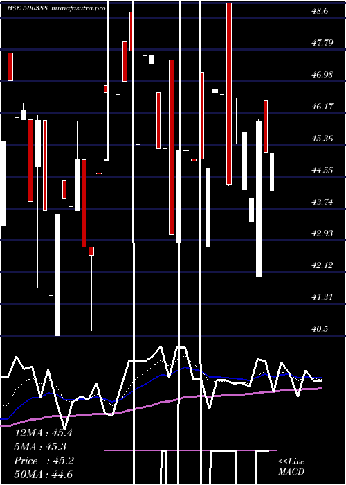  Daily chart ShreeKrishn