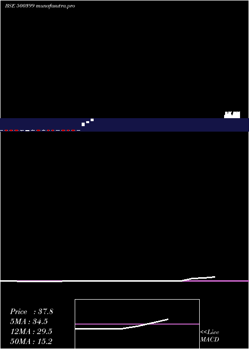 monthly chart SteelcoGuj