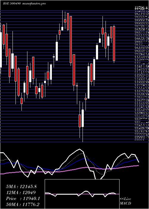 Daily chart BajHold