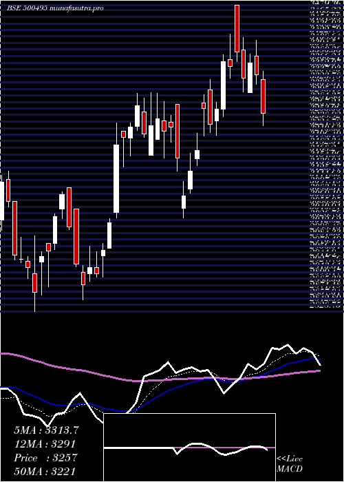  Daily chart Escorts