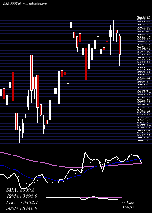 Daily chart Akzoindia