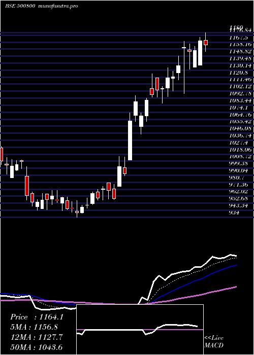  Daily chart Tataconsum