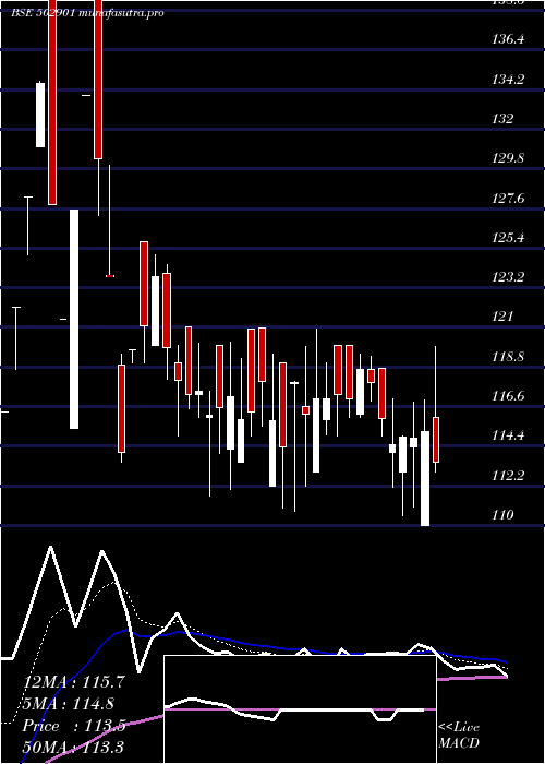 Daily chart Jamshri