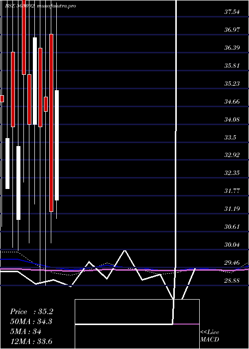  monthly chart PasupatiSpg