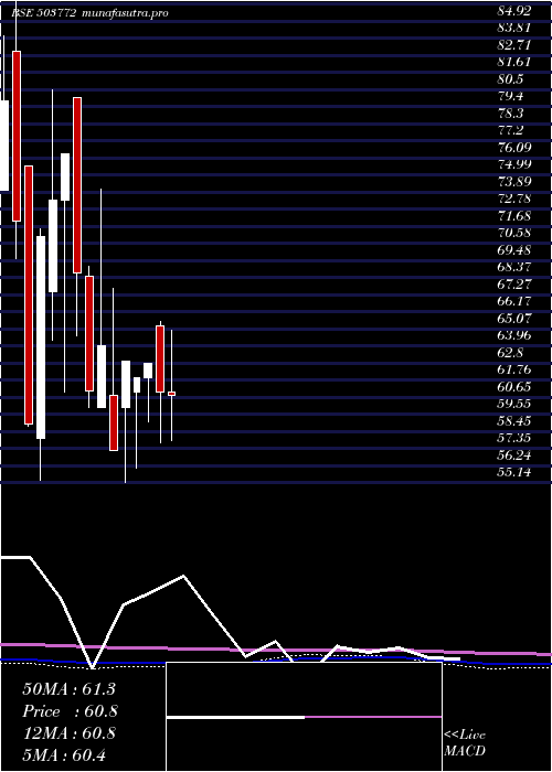 monthly chart ModellaWool