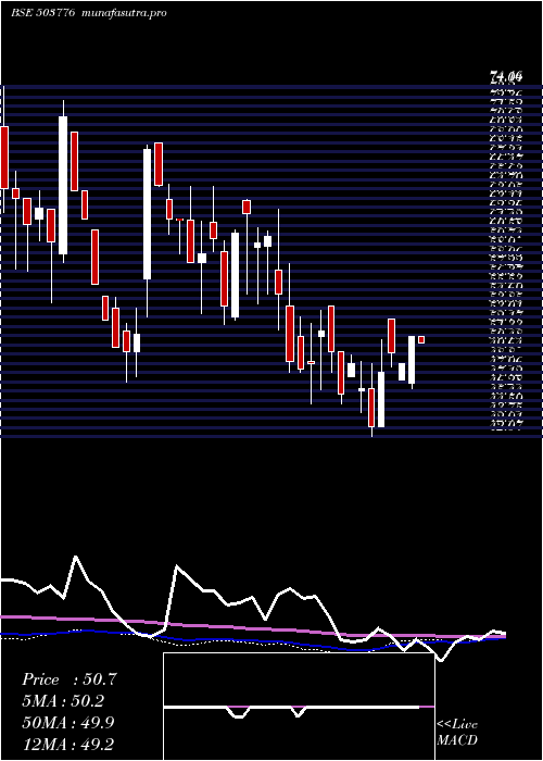 weekly chart Modipon