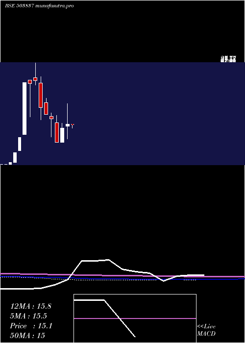 monthly chart ShreeRajsyn