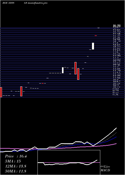 Daily chart ShreeMfg