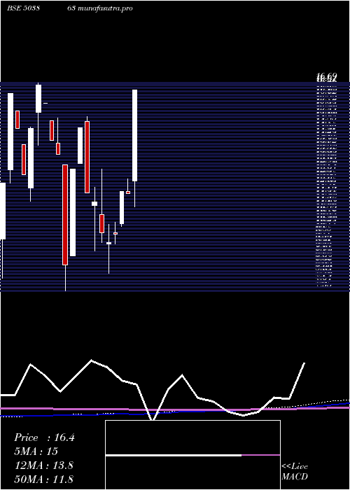 monthly chart ShreeMfg