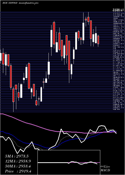 Daily chart BharatBijle