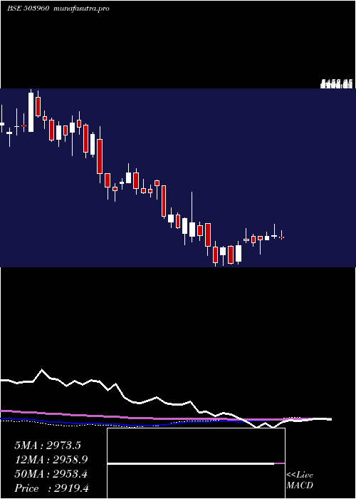 weekly chart BharatBijle