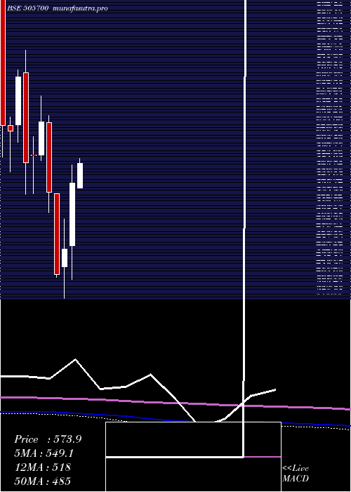monthly chart EleconEng