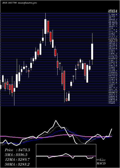  Daily chart Schaeffler