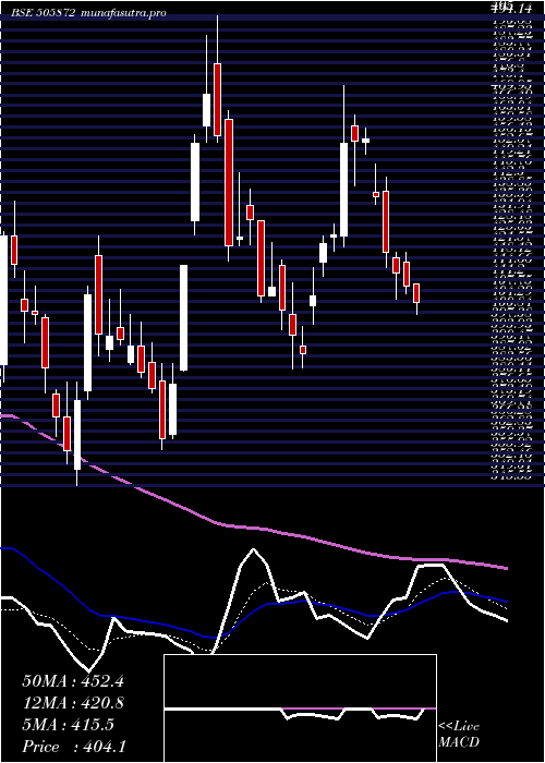  Daily chart Wpil