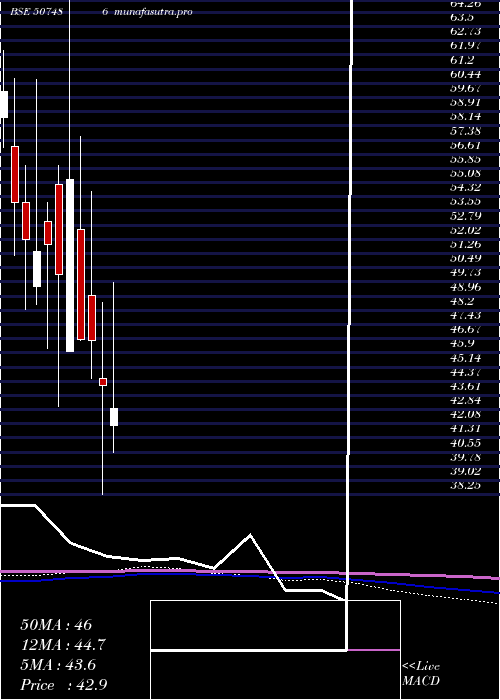 monthly chart CaprolaChem