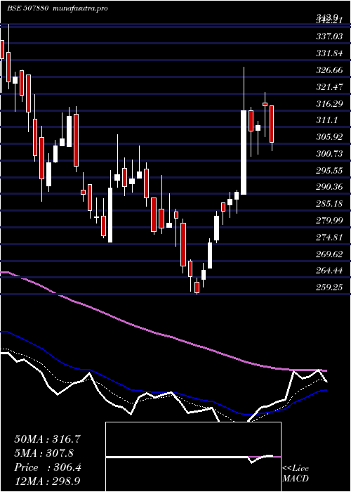  Daily chart VipIndus