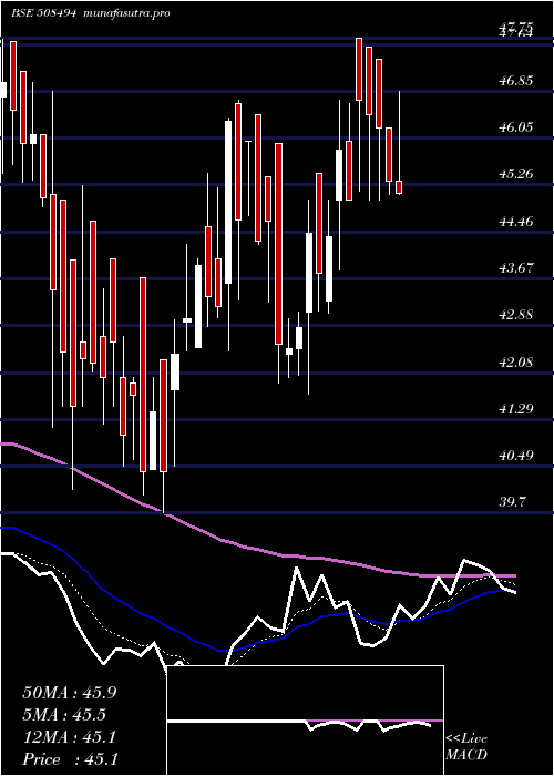  Daily chart WarrenTea