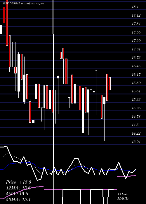 Daily chart ThakralSer