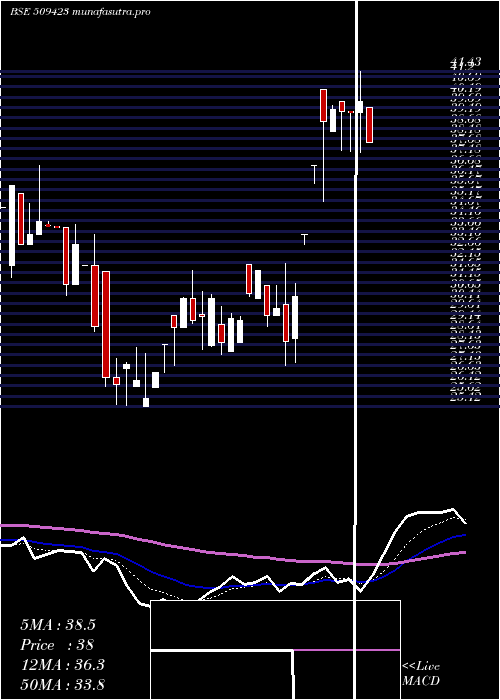 Daily chart Sel
