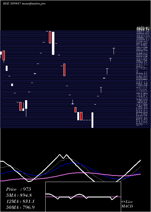 Daily chart SinnarBidi