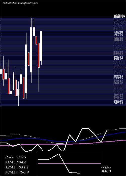 monthly chart SinnarBidi