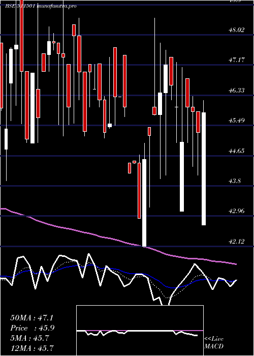 Daily chart BharatBhush