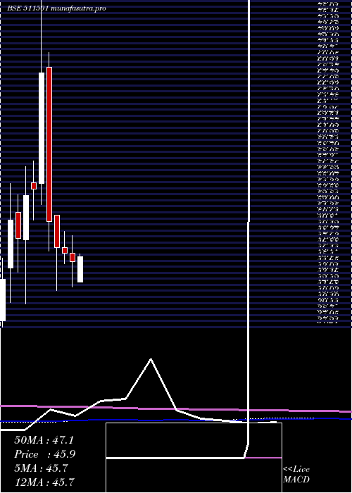 monthly chart BharatBhush