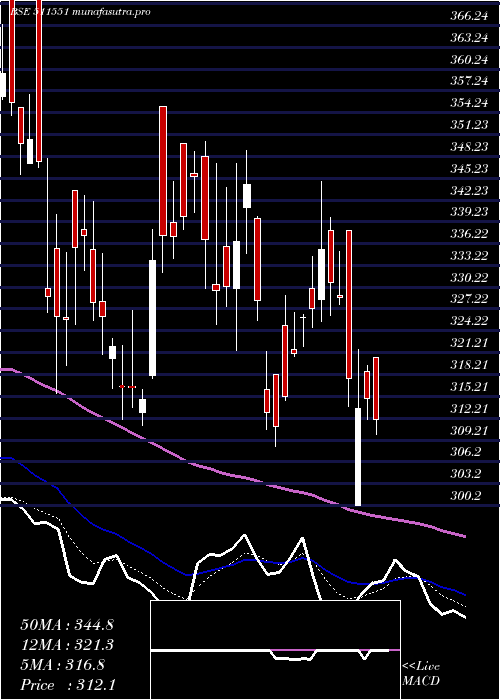  Daily chart Monarch
