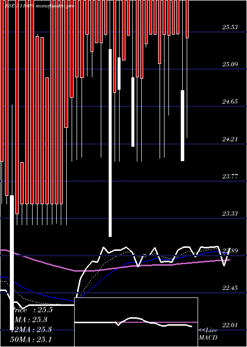 Daily chart IslConsult