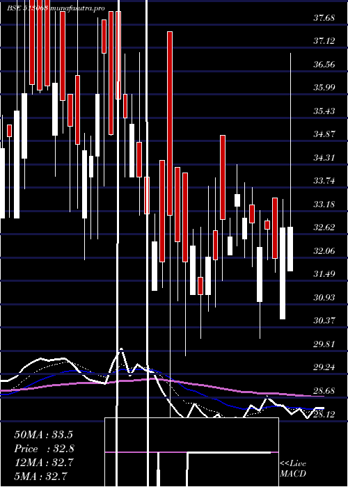 Daily chart Transfreight