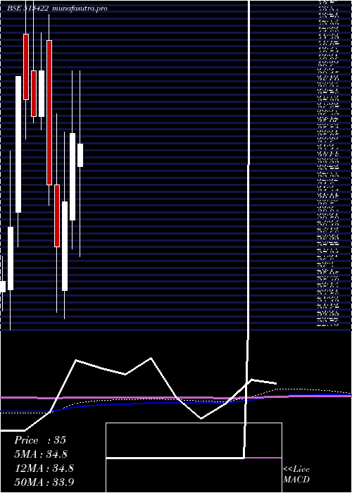 monthly chart BloomIndust