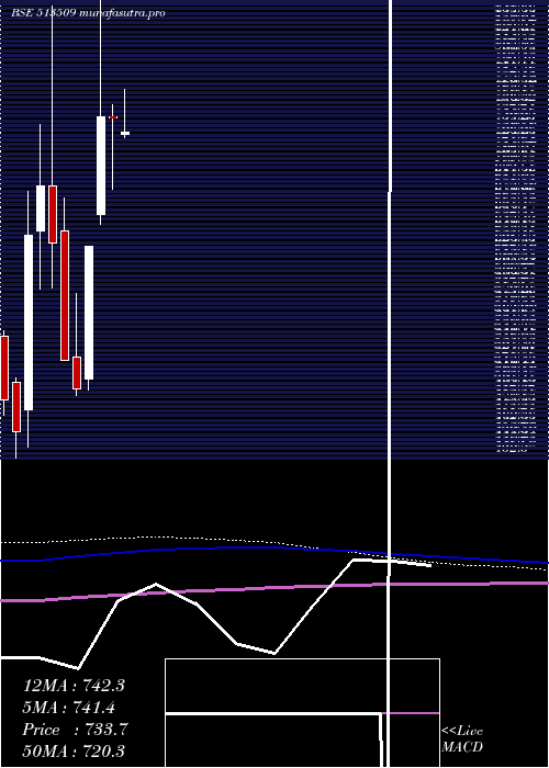 monthly chart KalyaniForg