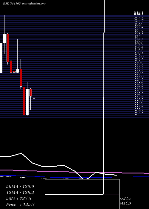 monthly chart WelspunI