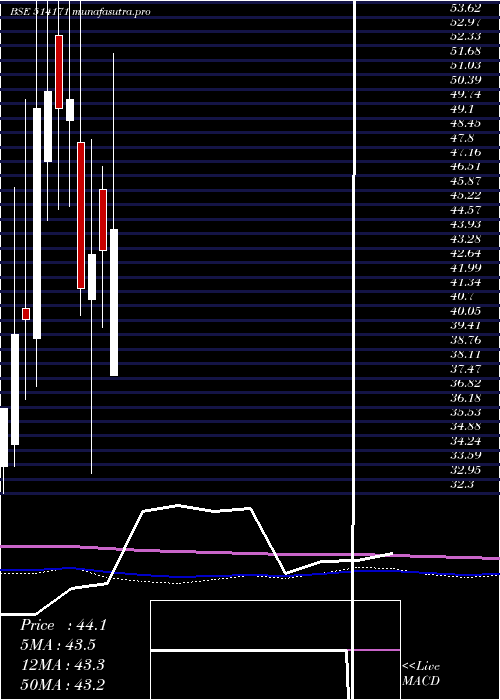 monthly chart CeetaInd