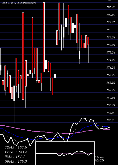 Daily chart VippySpin
