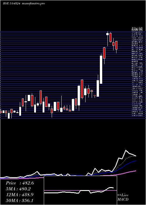 Daily chart OmnitexInd