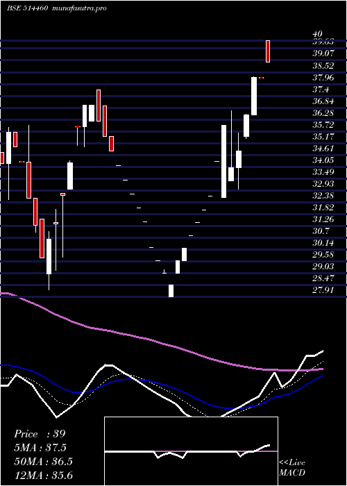 Daily chart OswalYarns