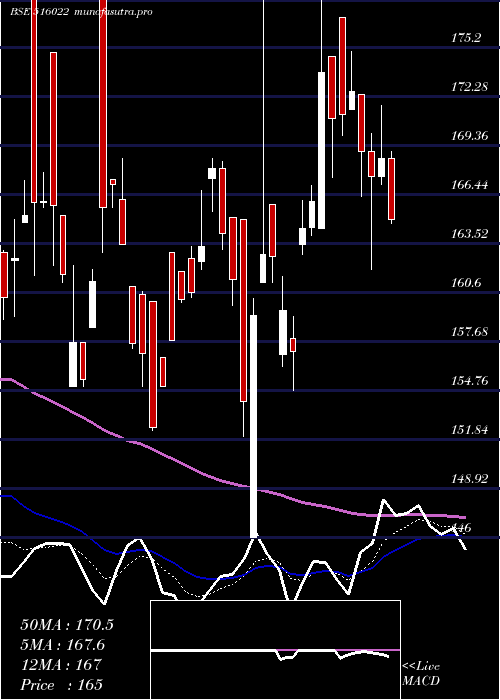  Daily chart StarPaper