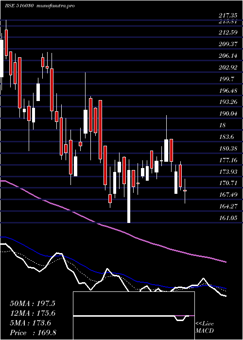 Daily chart Yashpakka