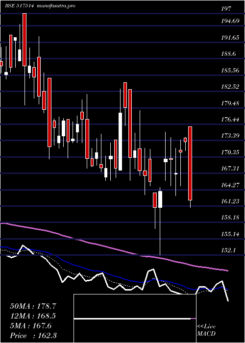 Daily chart Dhindia