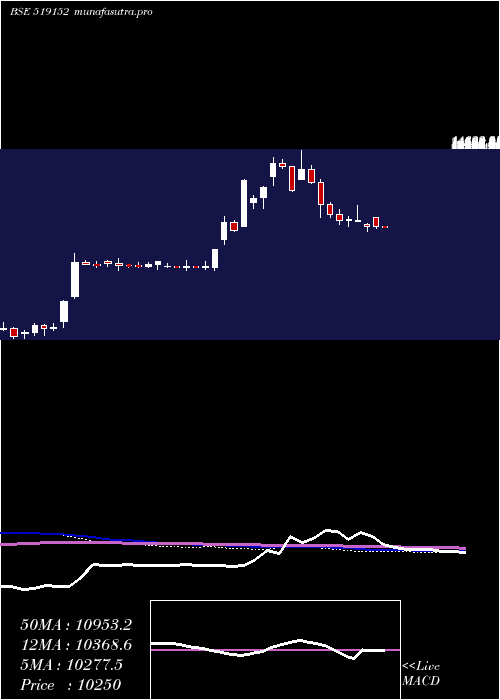 weekly chart VadilalEnt