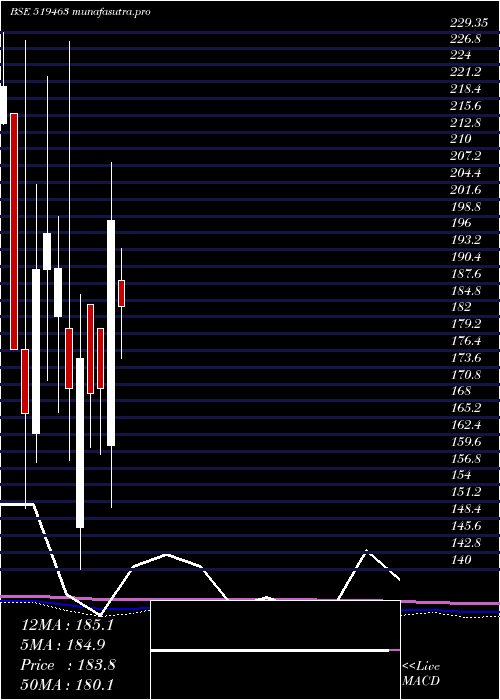 monthly chart IbInfotech