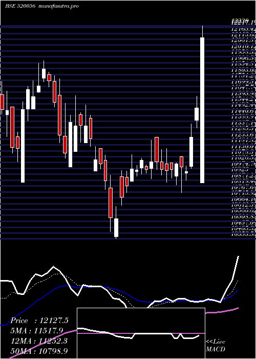 Daily chart SundarClay
