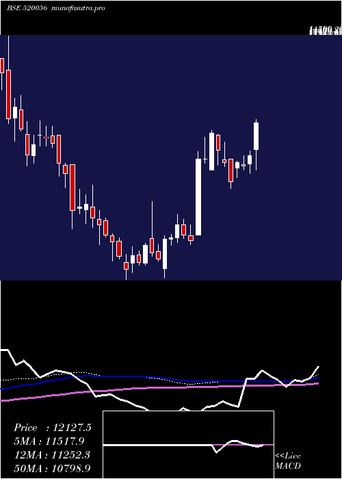 weekly chart SundarClay