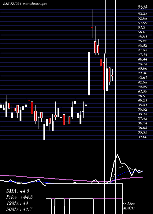 Daily chart SomaTextile