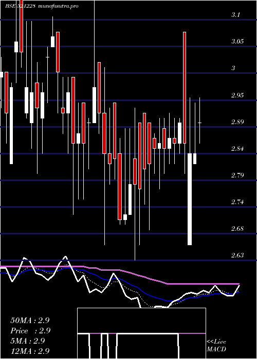 Daily chart TatiaGlob