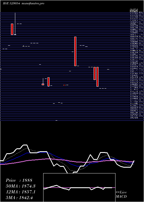 Daily chart BinTex